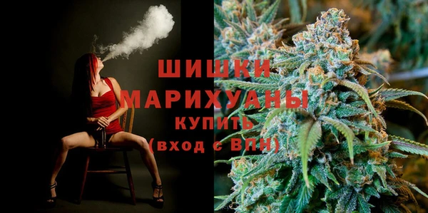 apvp Верея