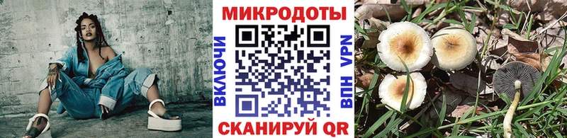 Галлюциногенные грибы мицелий  Купить где  Черемхово 