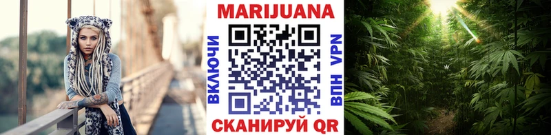 Купить где  Черемхово  Каннабис семена 